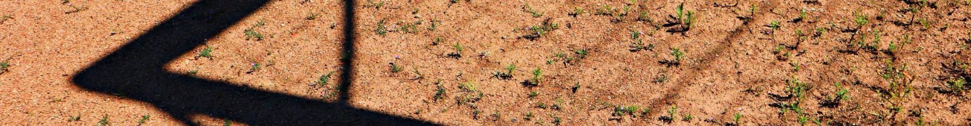 Institut für Kooperative Planung und Sportentwicklung