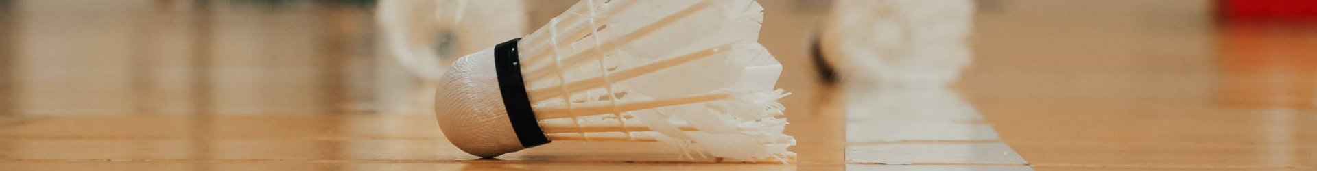 Institut für Kooperative Planung und Sportentwicklung